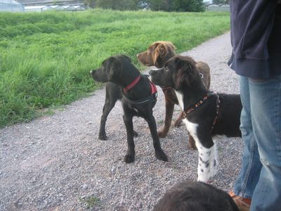 Bild 458.jpg