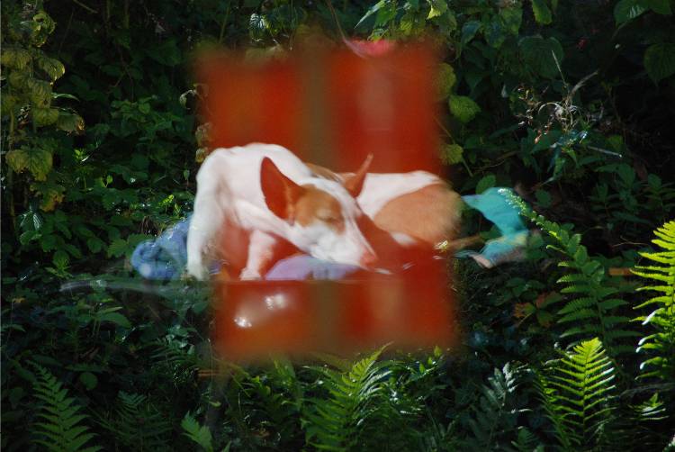 DSC_Spooky.JPG