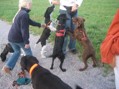 Bild 456.jpg