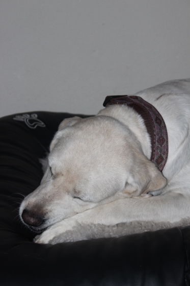 Margi (5).jpg