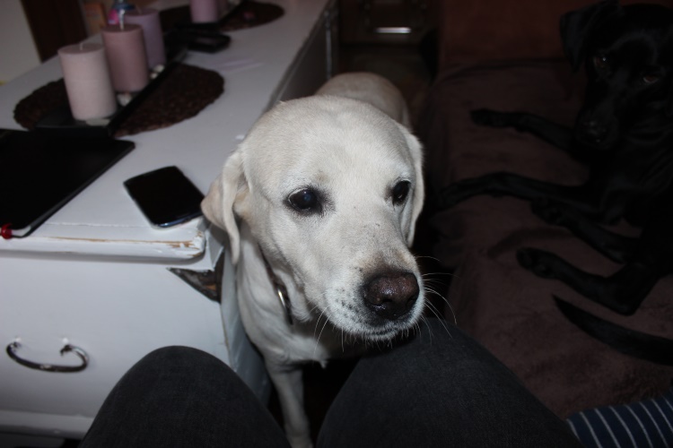 Margi (7).jpg