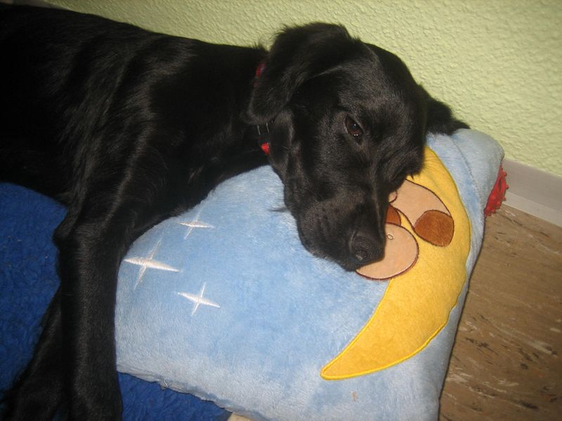 Bild 007.jpg