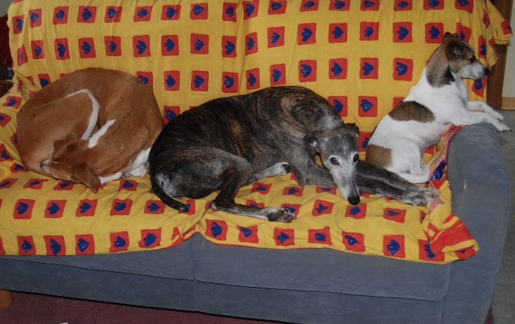 DSC_0040k.jpg