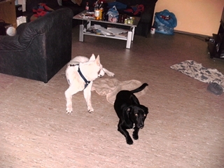 s_s_PICT0037.JPG