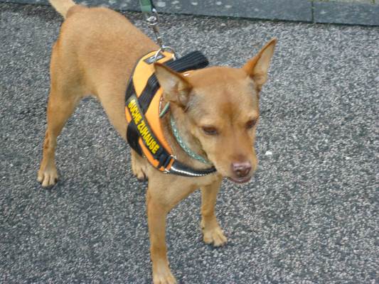 Canela2 114.JPG