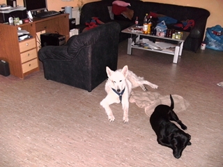 s_s_PICT0039.JPG