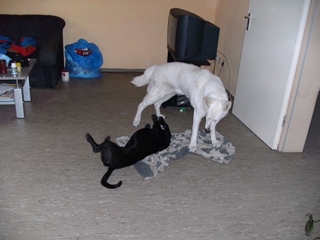 s_s_PICT0040.JPG