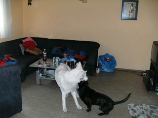 s_s_PICT0042.JPG