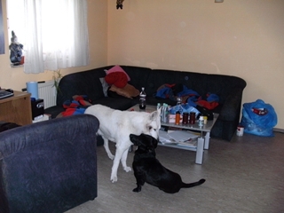 s_s_PICT0043.JPG