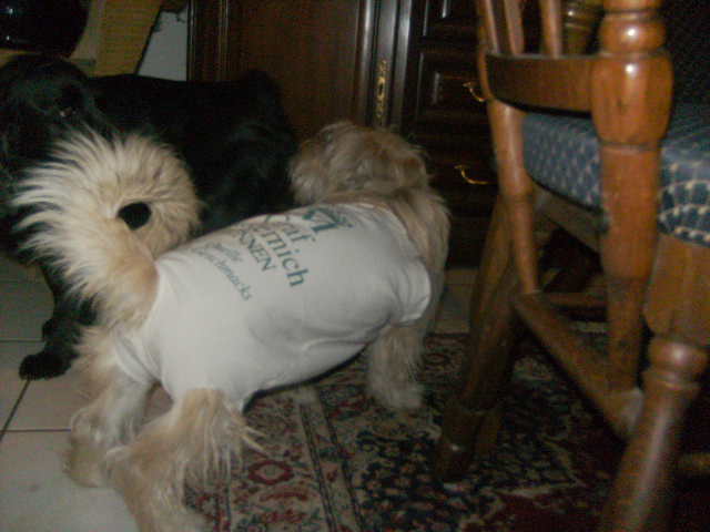 BILD0003.JPG