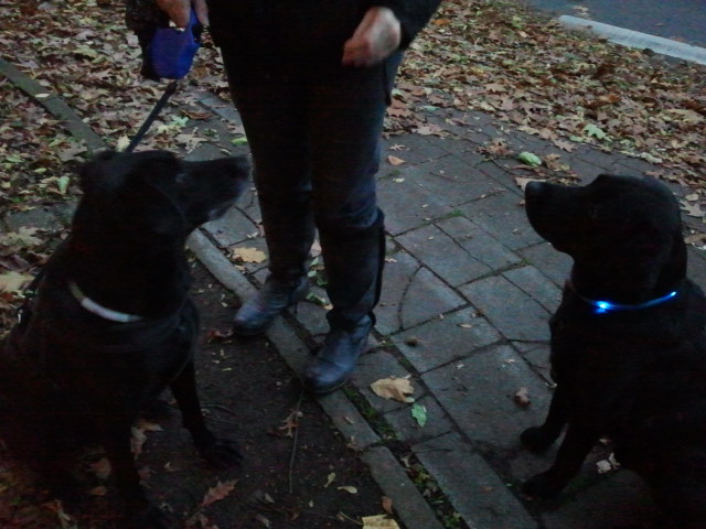 2013-10-29 07.13.37.jpg