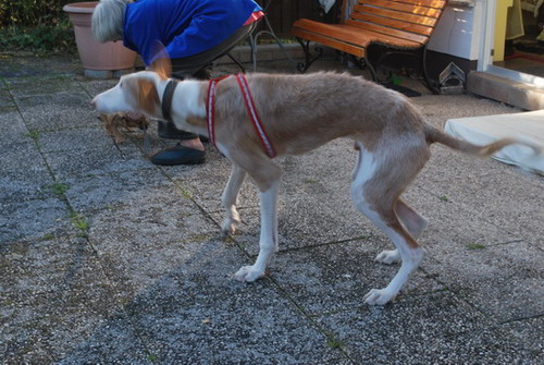 DSC_0159.jpg