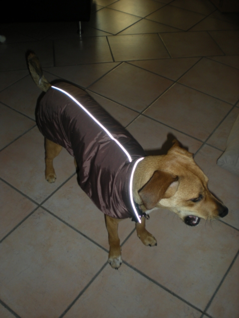 jasper mit mantel 002a.jpg