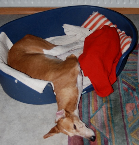 DSC_0119k.jpg