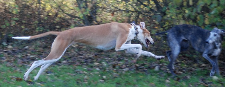 DSC_0150k.jpg