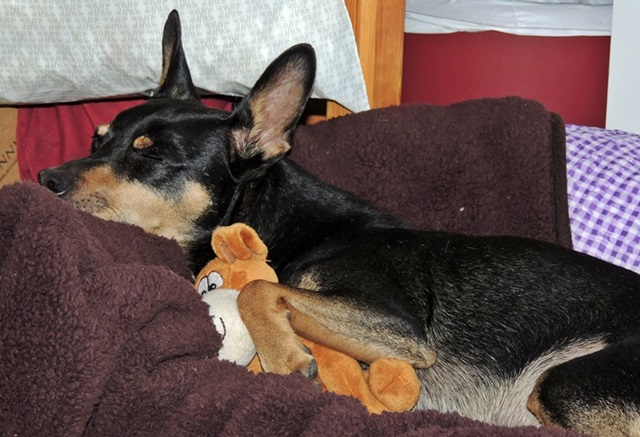 DSCN6138.JPG