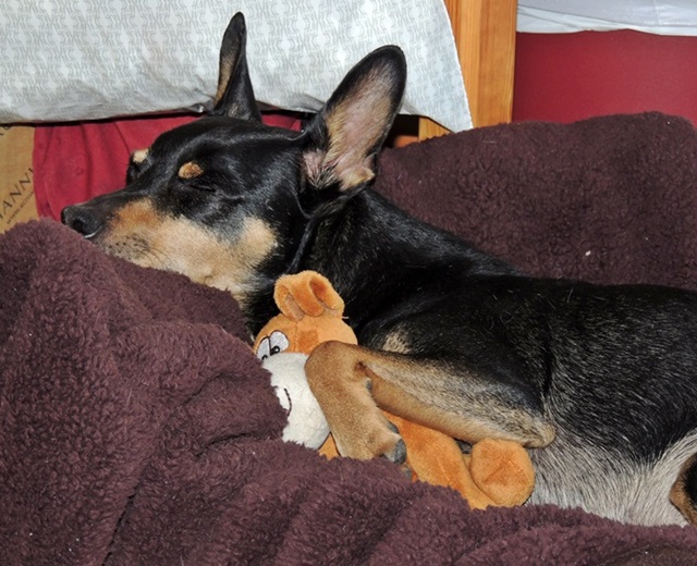 DSCN6139.JPG