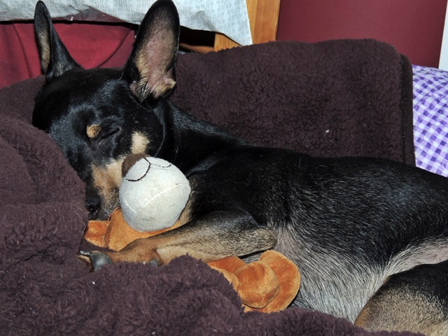 DSCN6149.JPG