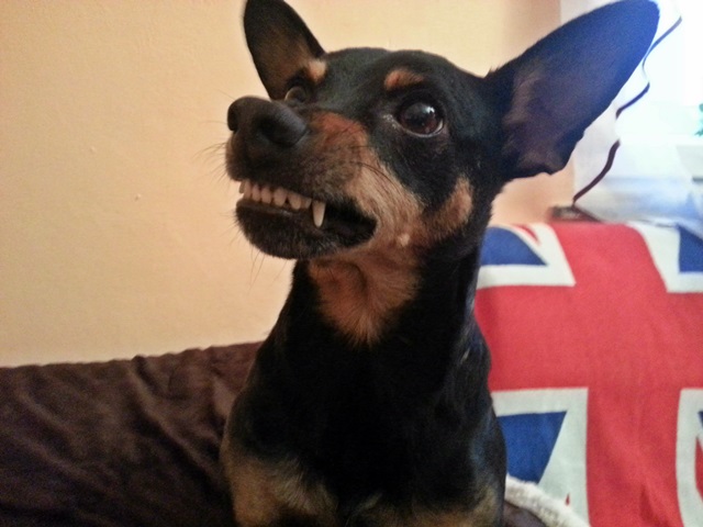 20131123_154602.jpg