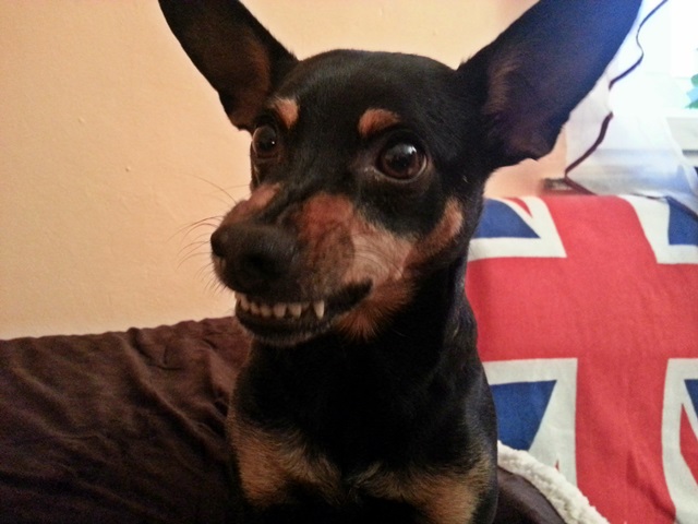 20131123_154611.jpg