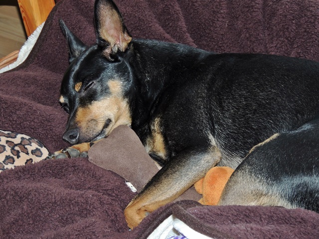 DSCN6151.JPG