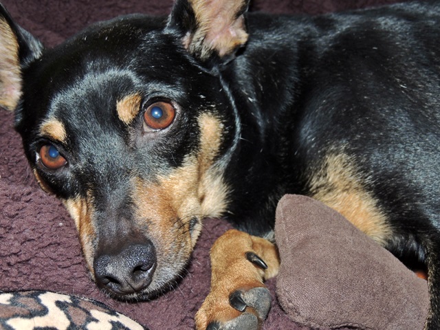 DSCN6156.JPG