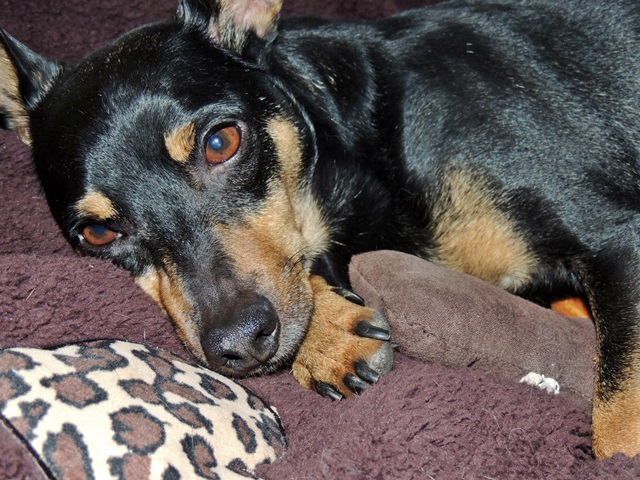 DSCN6157.JPG