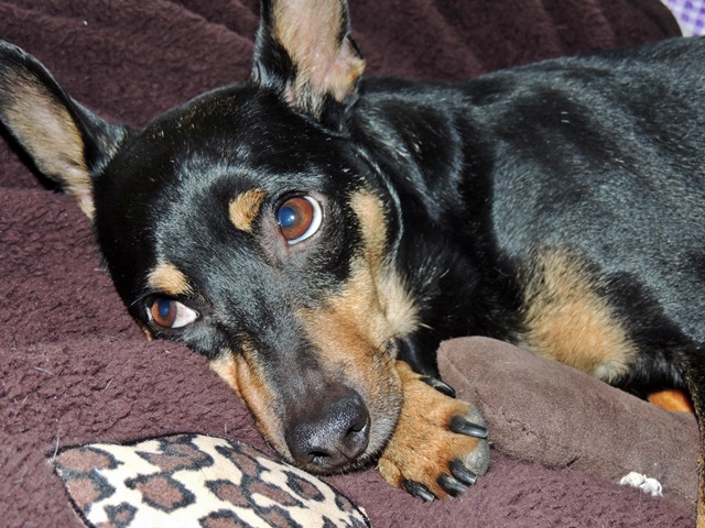DSCN6158.JPG