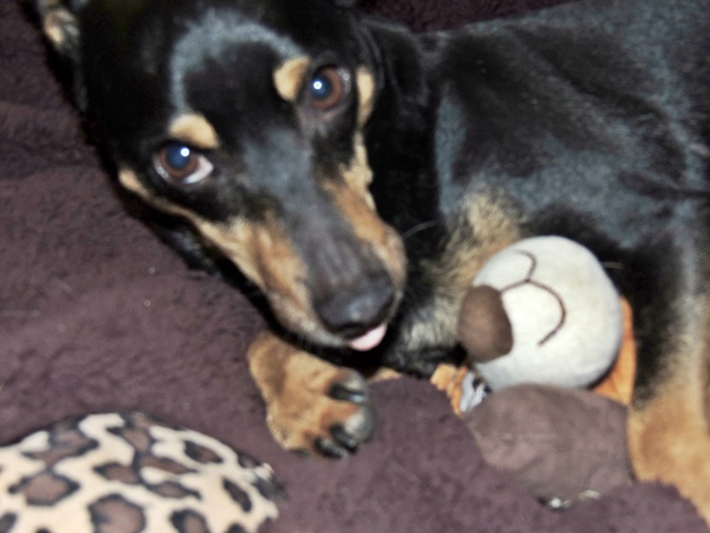 DSCN6159.JPG