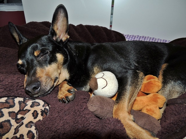 DSCN6164.JPG