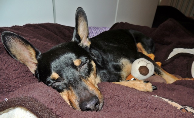 DSCN6167.JPG