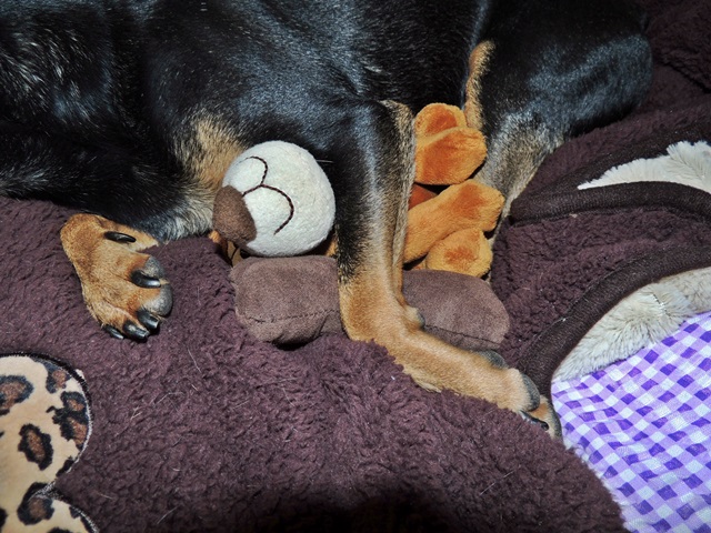 DSCN6168.JPG