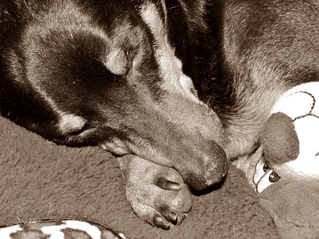DSCN6171.JPG