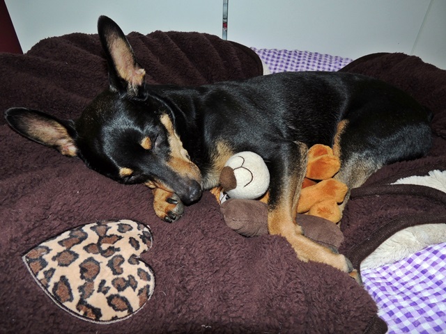 DSCN6173.JPG