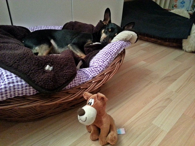 20131123_202407.jpg