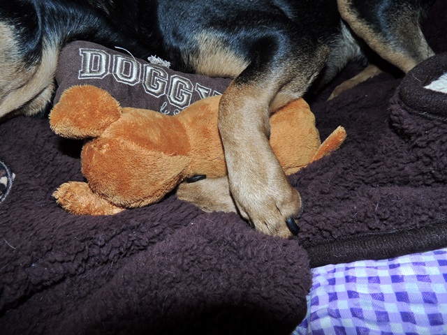 DSCN6176.JPG