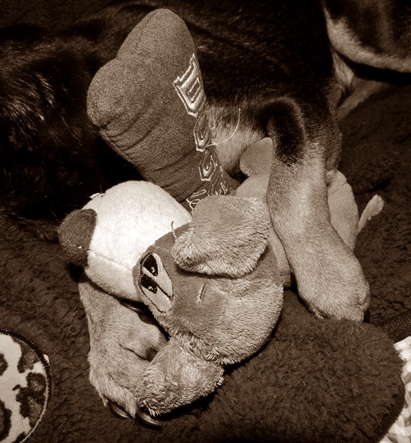 DSCN6182.JPG