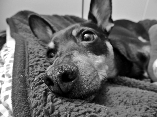 DSCN6188.JPG