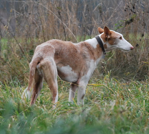 DSC_0175.jpg