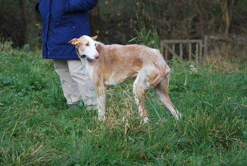 DSC_0182.jpg