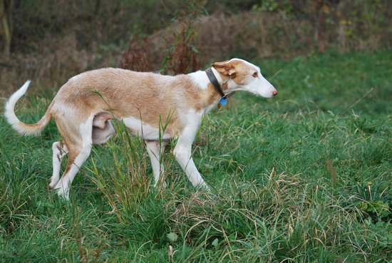 DSC_0183.jpg