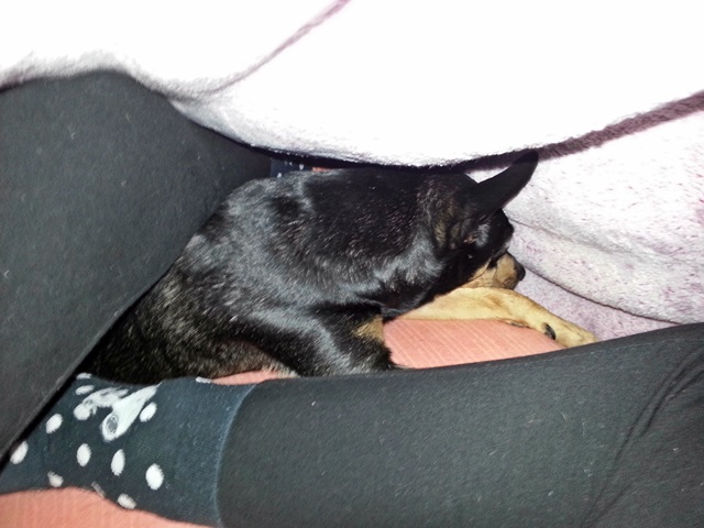 20131125_124246.jpg