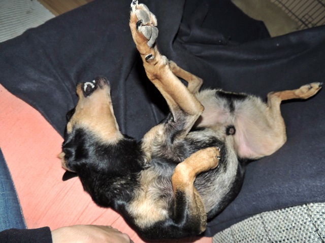 DSCN6209.JPG