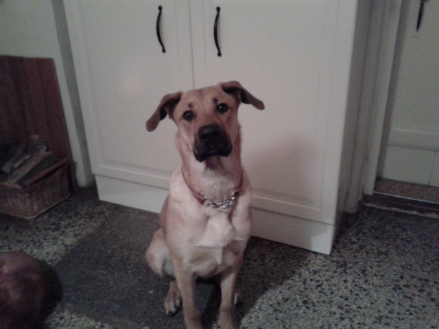 20131203_194809.jpg
