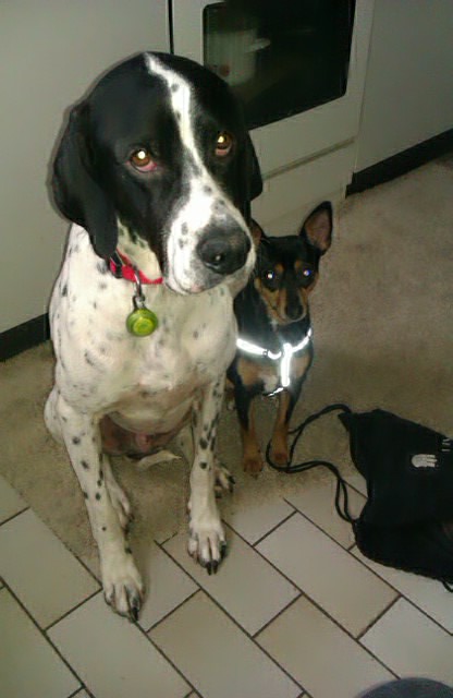 IMAG0987.jpg