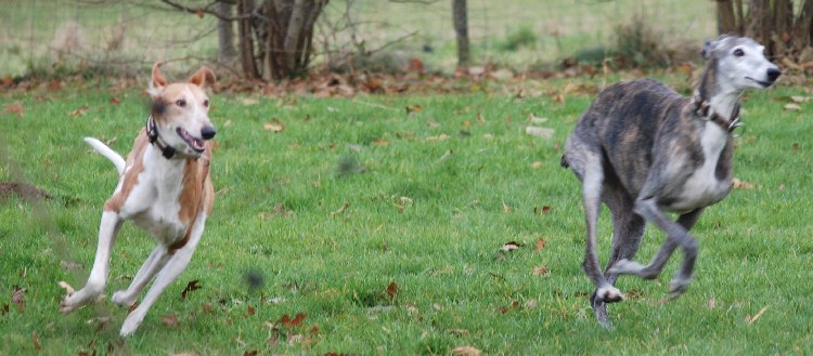 DSC_0542k.jpg