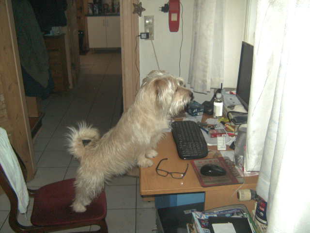 BILD0020.JPG