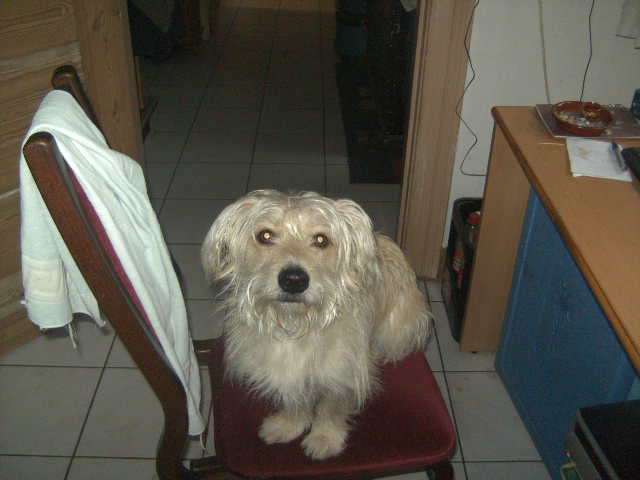 BILD0017.JPG