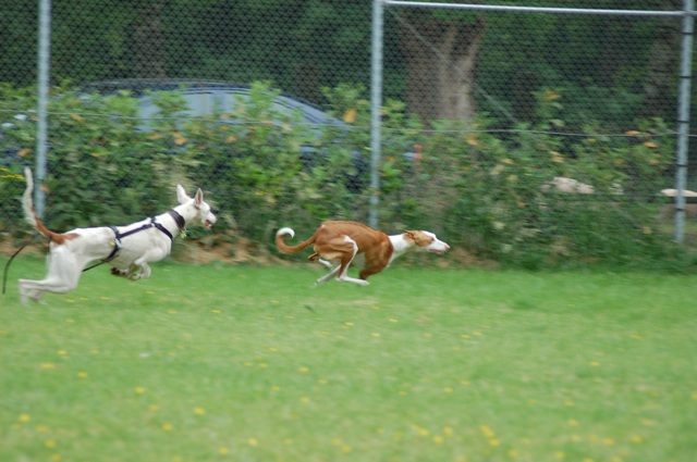 CENI und MAKANI.jpg