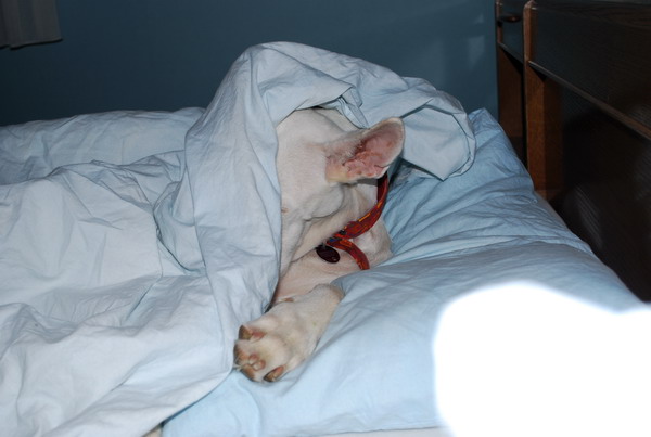 DSC_0656.jpg